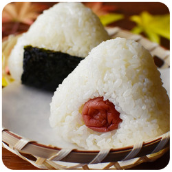 Nos recettes japonaises en 1 click! | SATSUKI