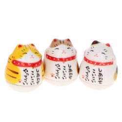 Maneki Neko disguised as a Daruma Yakushiji